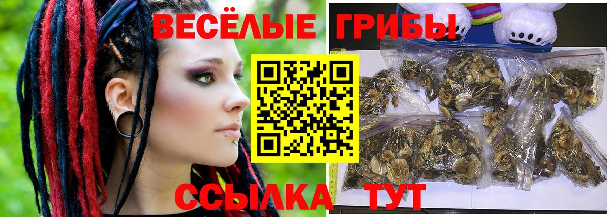 Галлюциногенные грибы Psilocybe Куйбышев