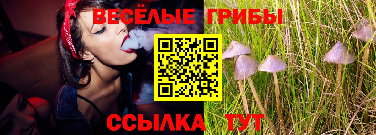 наркотики  Вход с VPN  Куйбышев  Галлюциногенные грибы ЛСД 